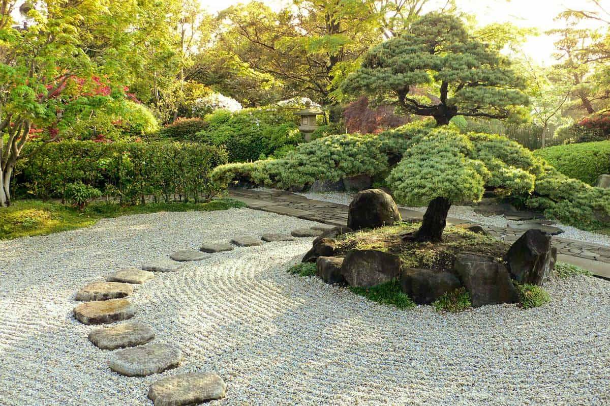 Japanese Border Plants Japanese Garden