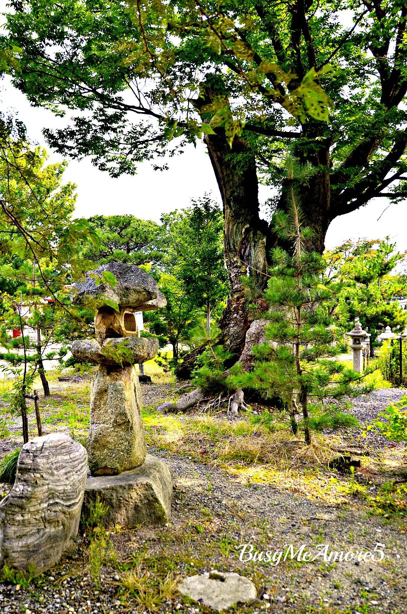 Lovely Meditation Garden Design Ideas