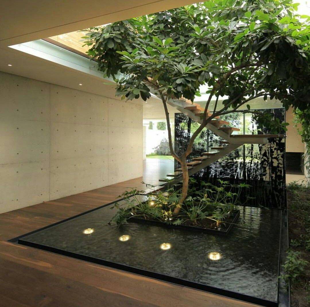 25 Japanese Interior Garden Ideas To Consider SharonSable