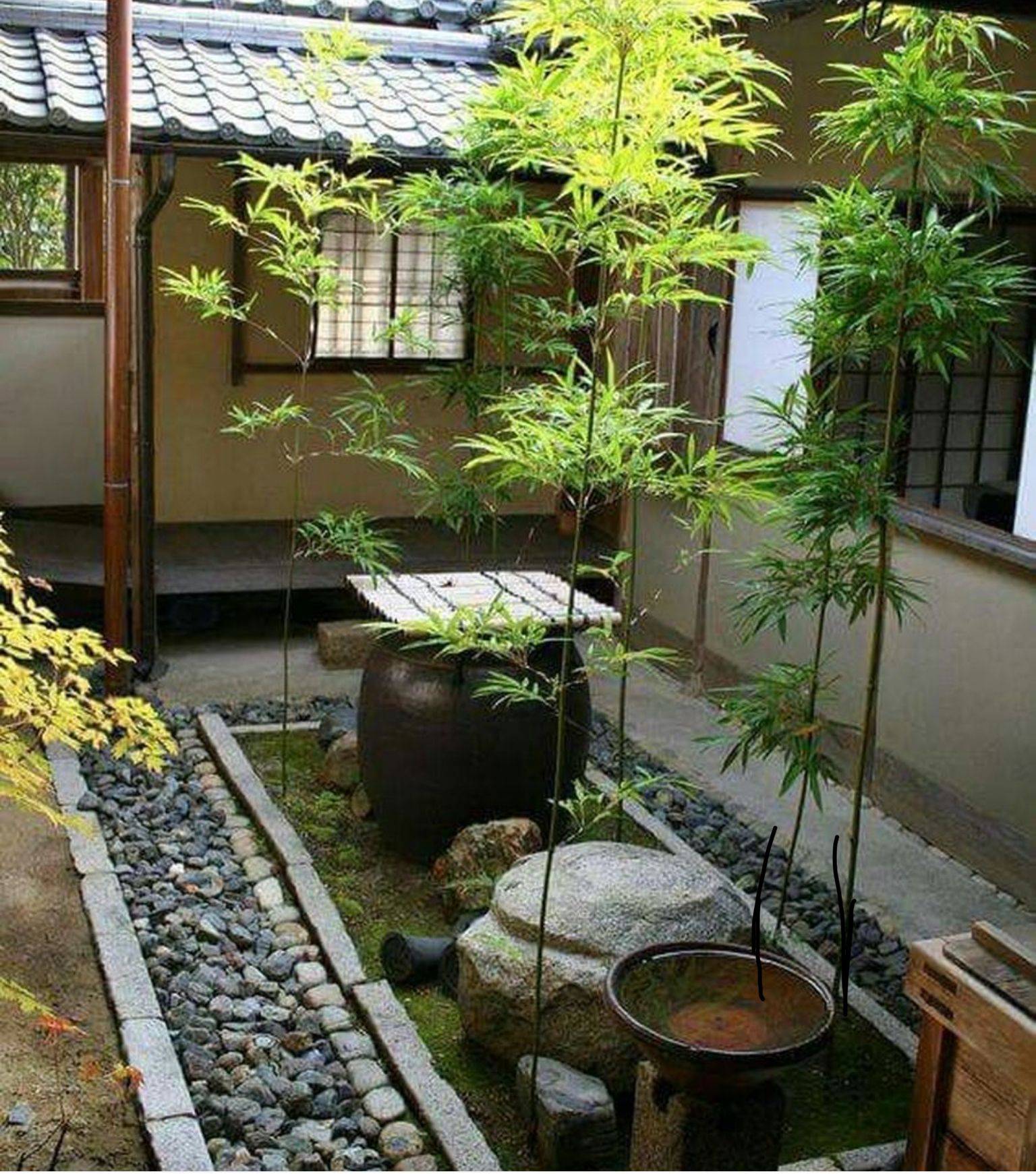 Japanese Indoor Garden