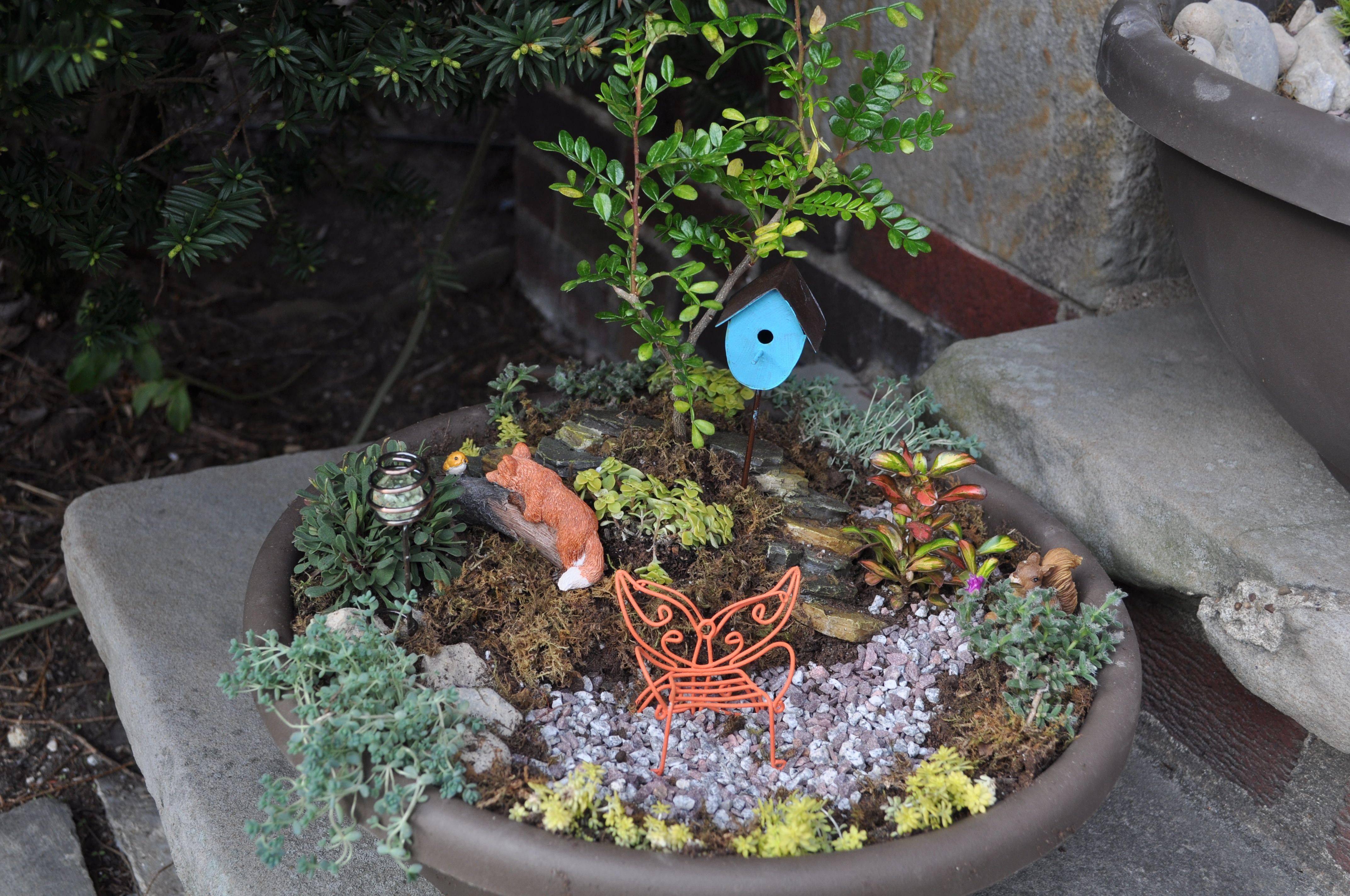 Fairy Garden Ideas