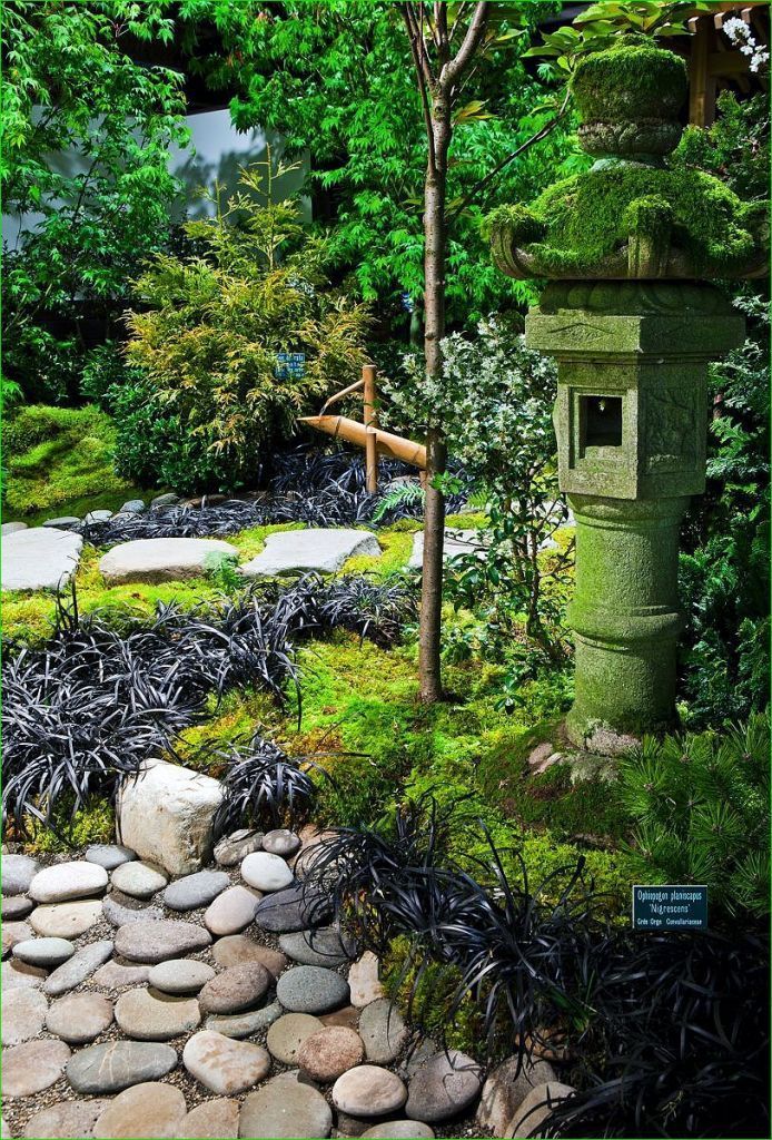Stunning Japanese Garden Ideas Plants You Will Love Portland