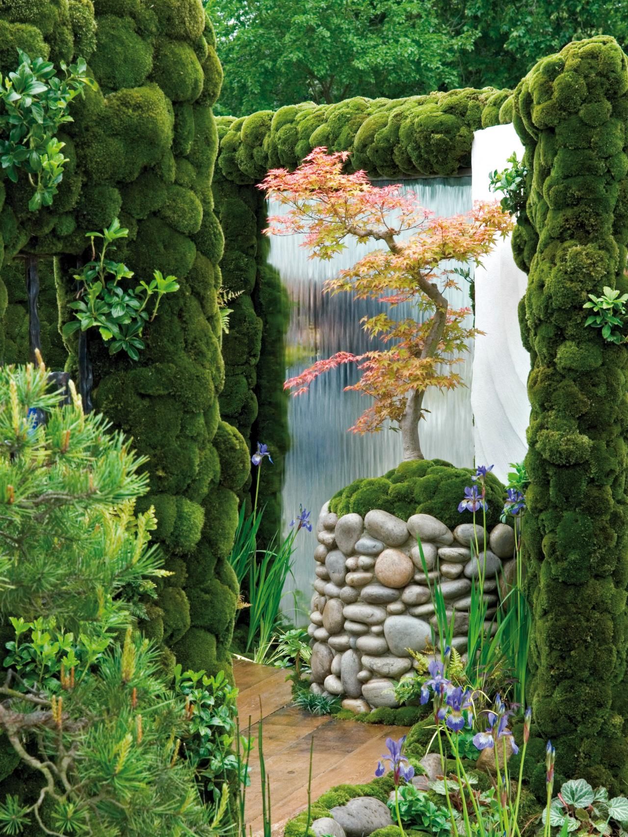 Basic Front Yard