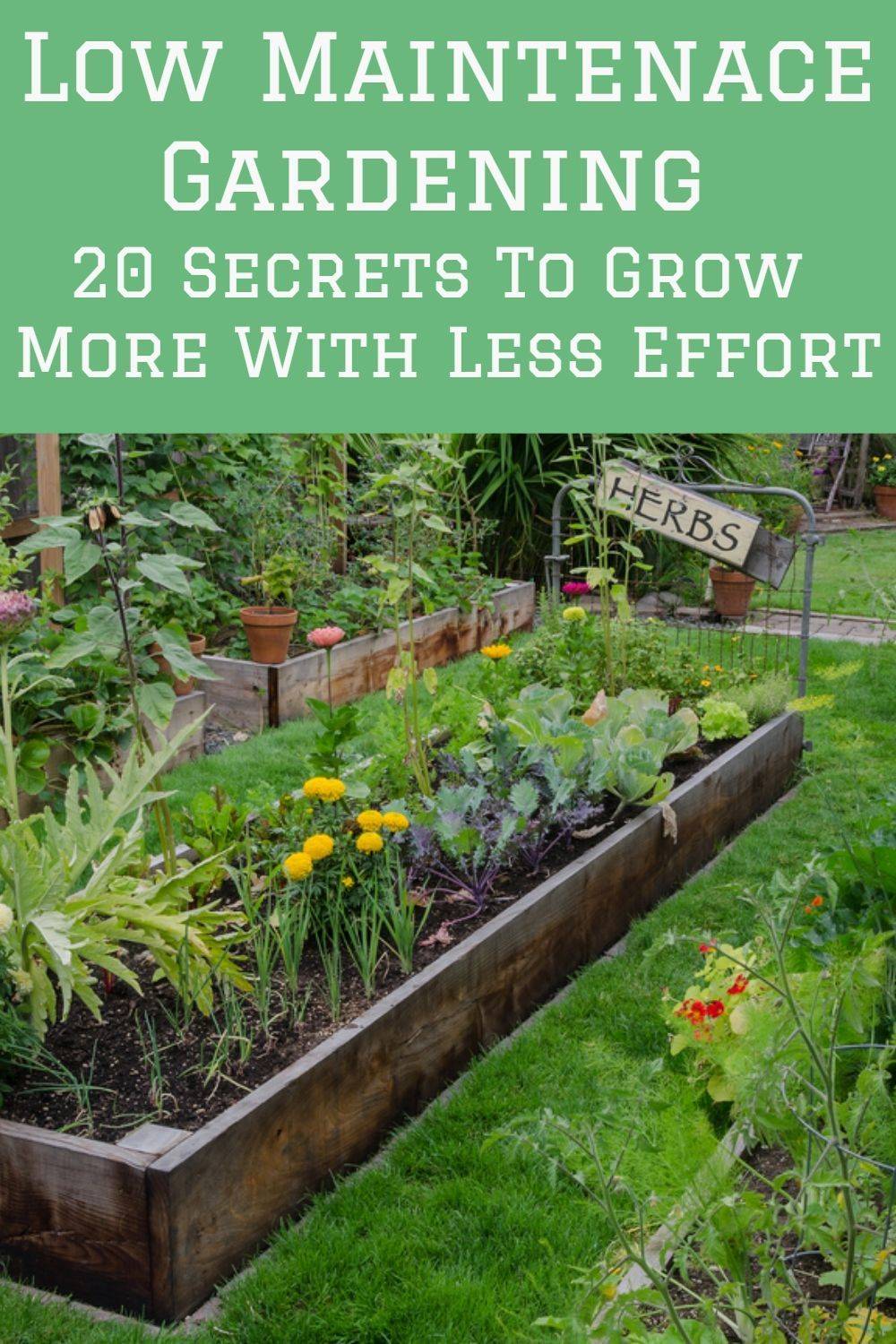 24 Low Maintenance Vegetable Garden Ideas You Should Look SharonSable