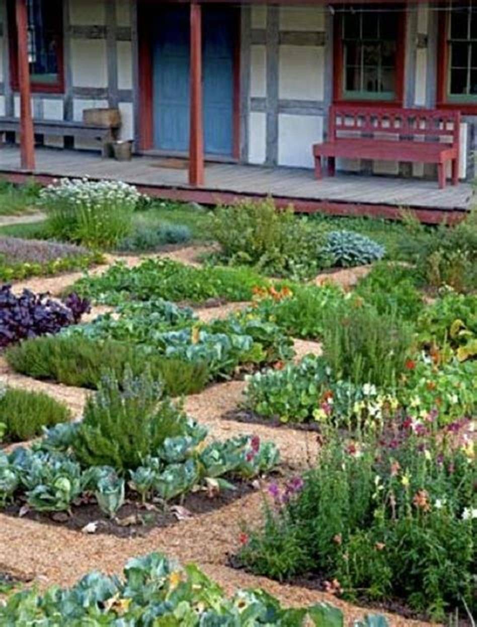 24 Low Maintenance Vegetable Garden Ideas You Should Look SharonSable