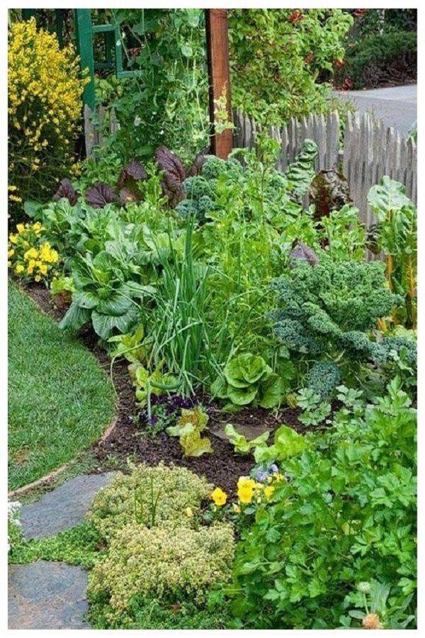 Beautiful Low Maintenance Front Yard Garden And Landscaping Ideas