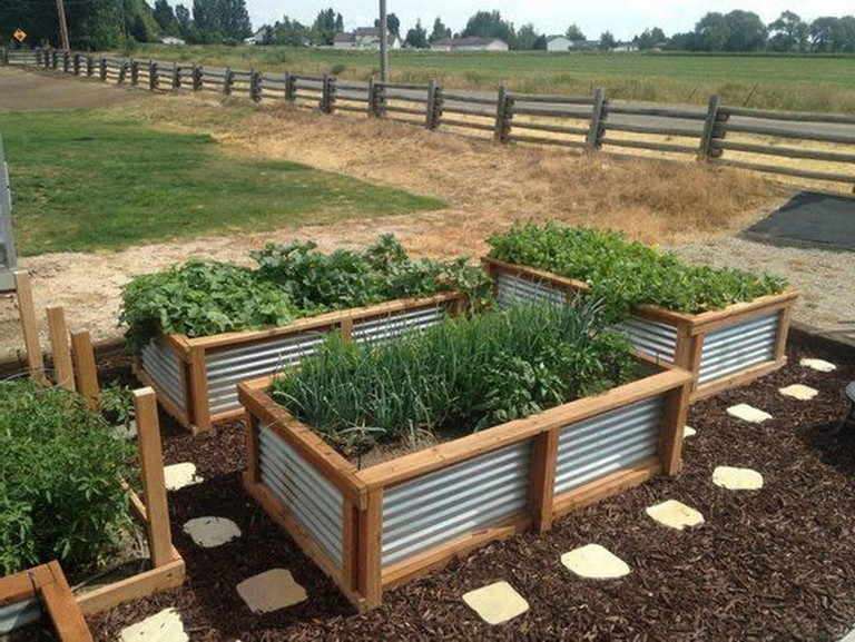 24 Low Maintenance Vegetable Garden Ideas You Should Look SharonSable