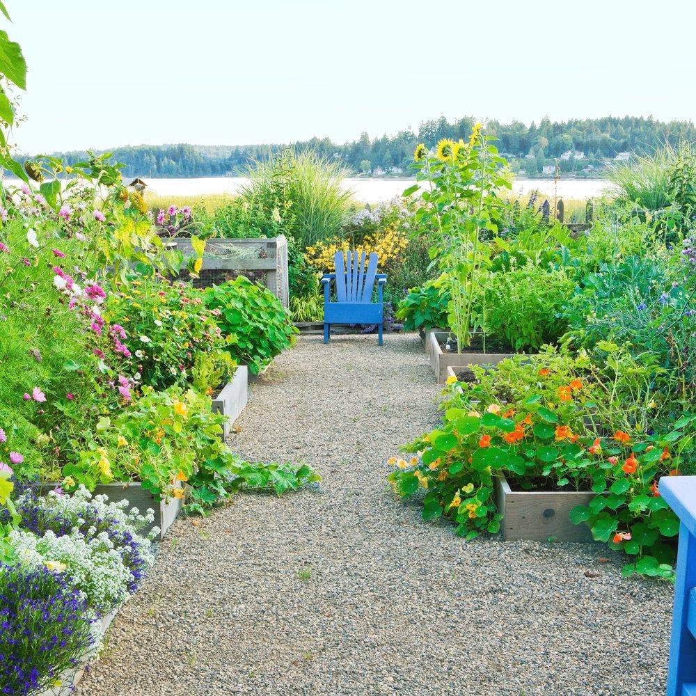 24 Low Maintenance Vegetable Garden Ideas You Should Look SharonSable