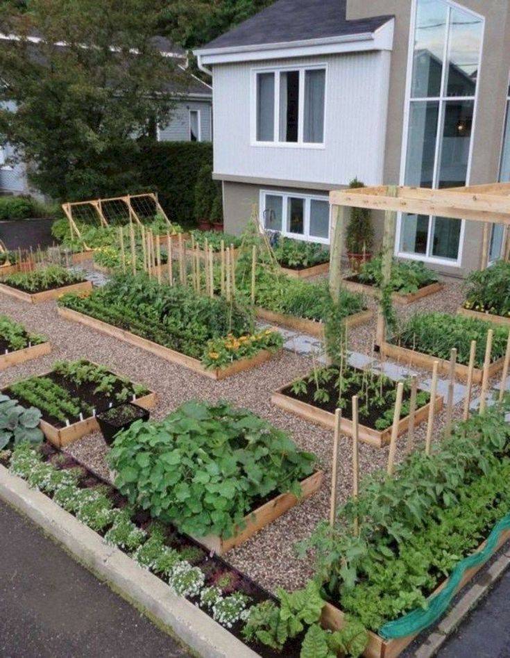 Low Maintenance Garden Lowmaintenancegarden Home Vegetable Garden