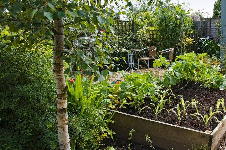 Small Yard Patio Front House Best Low Maintenance Garden Design