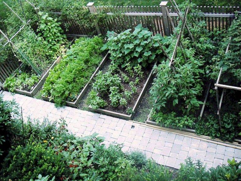 24 Low Maintenance Vegetable Garden Ideas You Should Look SharonSable