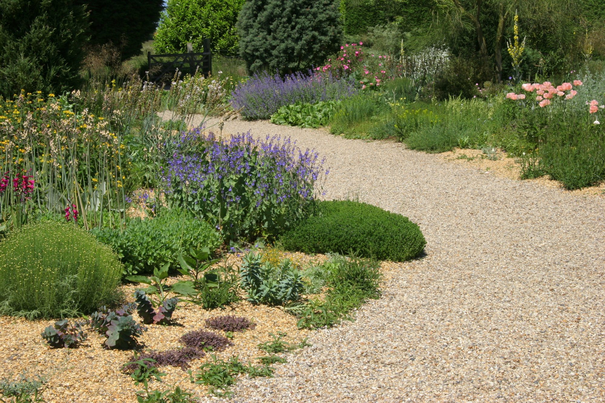 Genius Low Maintenance Rock Garden Design Ideas