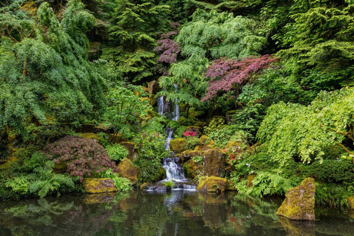 The Portland Japanese Garden