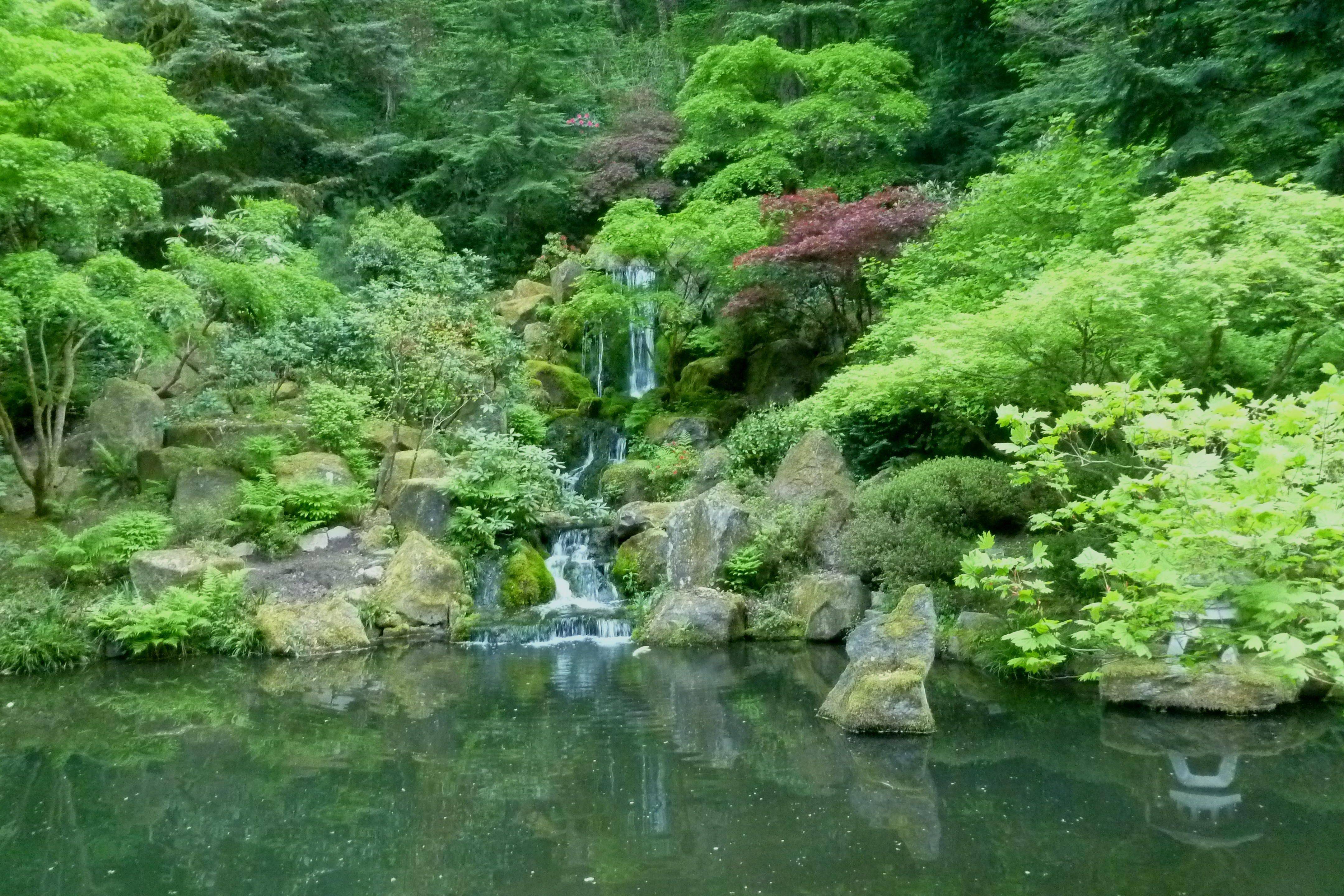 Japanese Garden