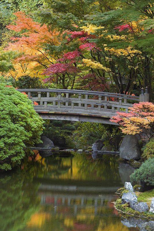 Portland Oregon Bing Images