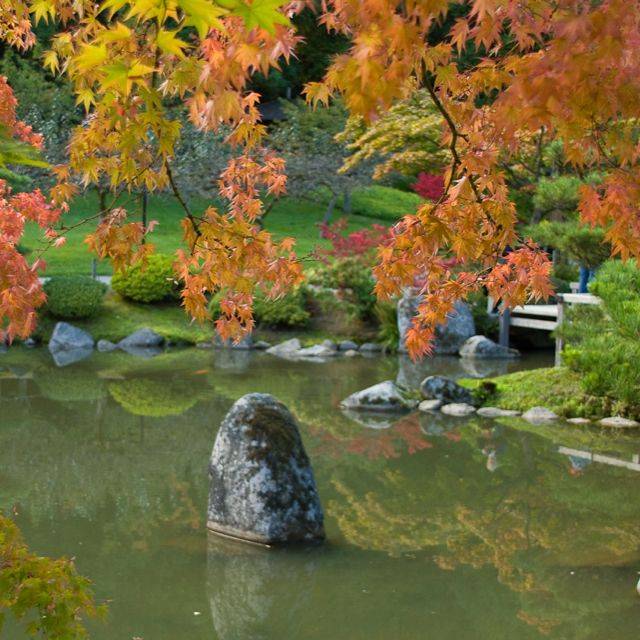 Japanese Garden Seattle Tripadvisor Adornablydesign