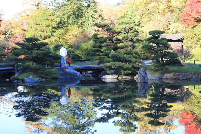 Seattle Japanese Garden