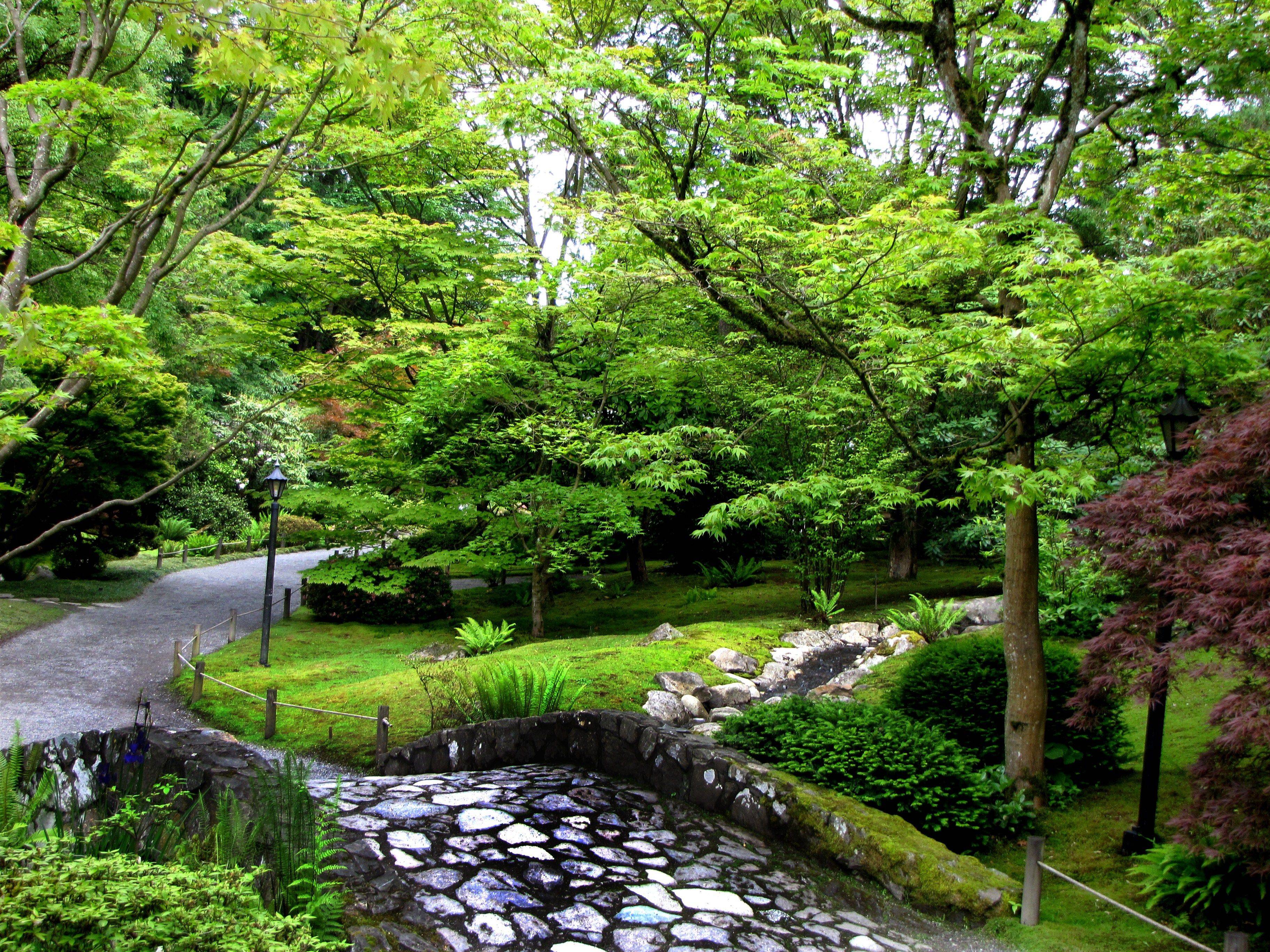 Seattle Japanese Garden Seattle Japanese