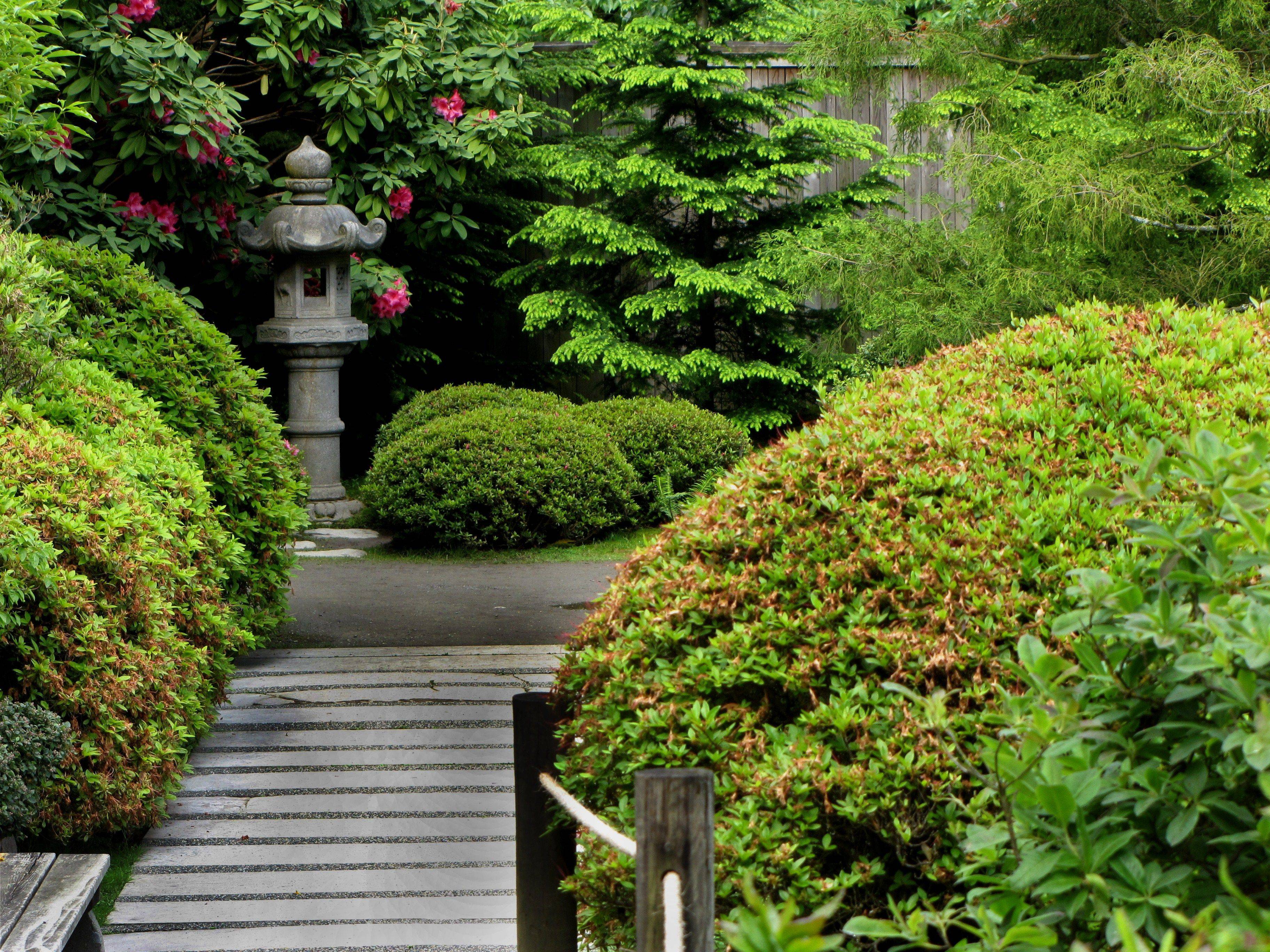 Pin De Garden And Nature Tranquility