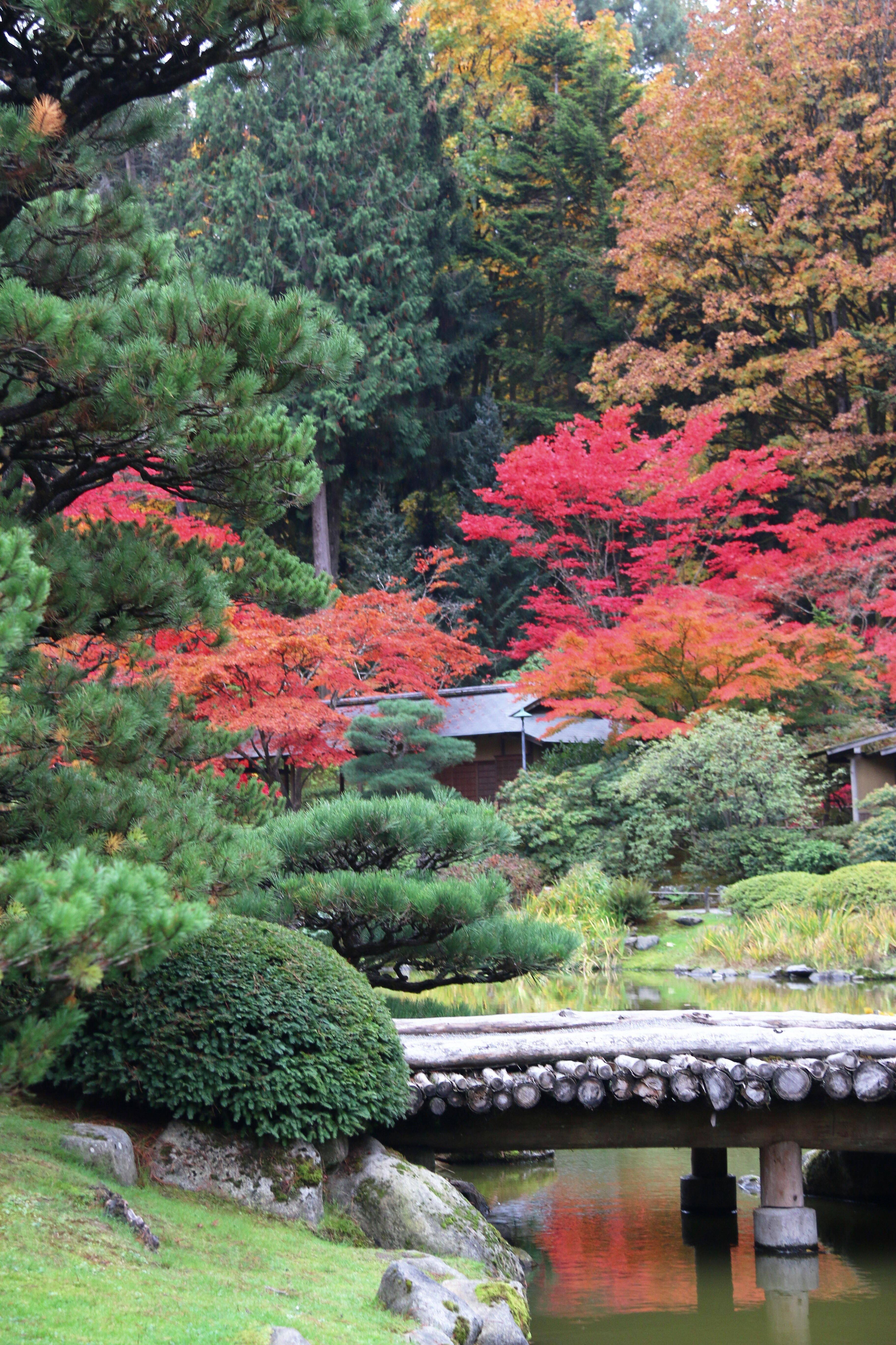 Seattle Japanese Garden