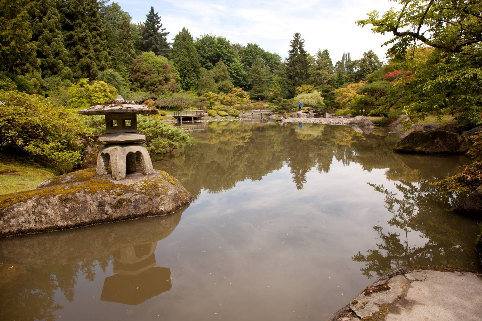 Seattle Arboretum Japanese Garden Creek