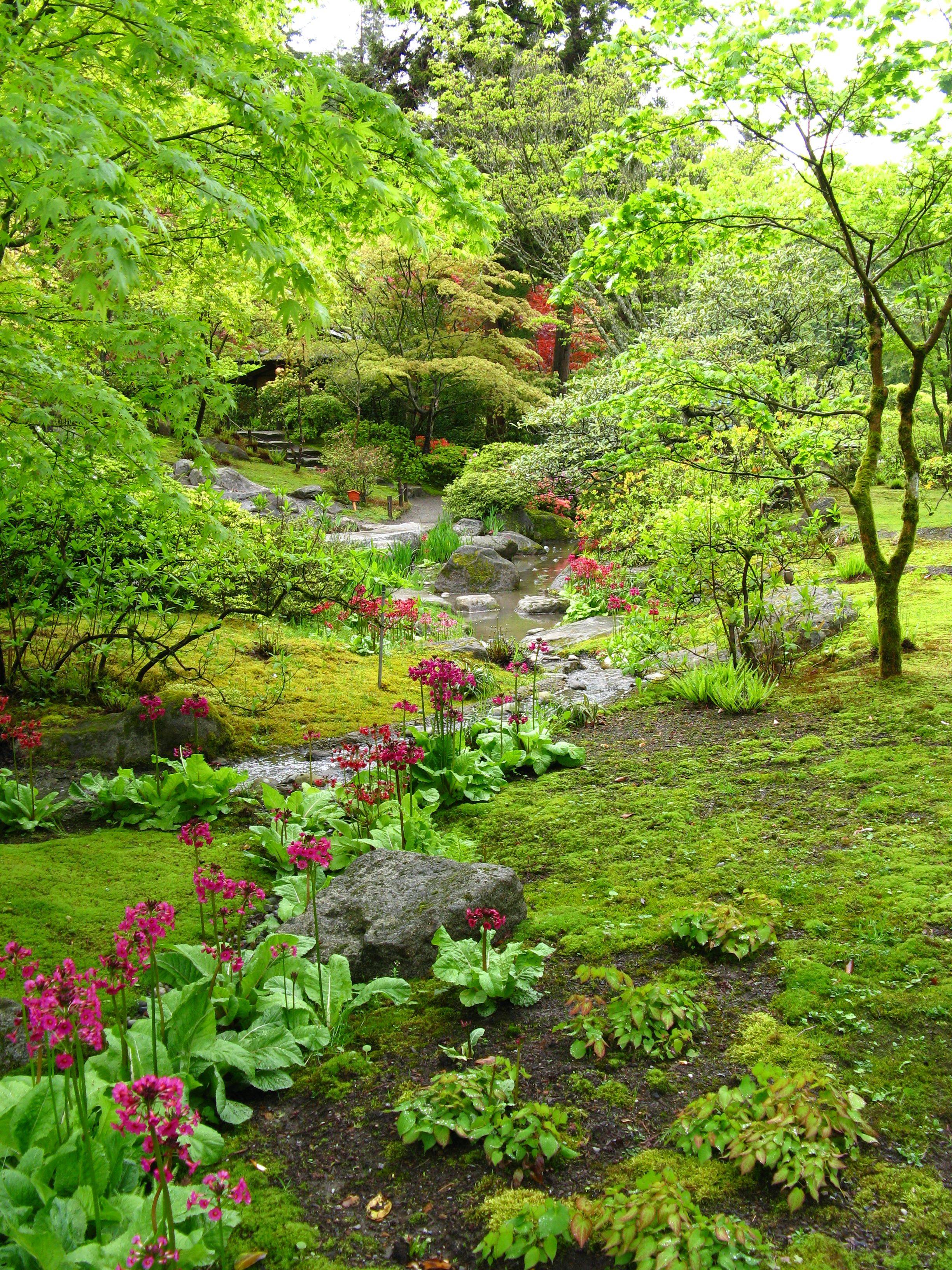 Seattle Japanese Garden Japanese Garden