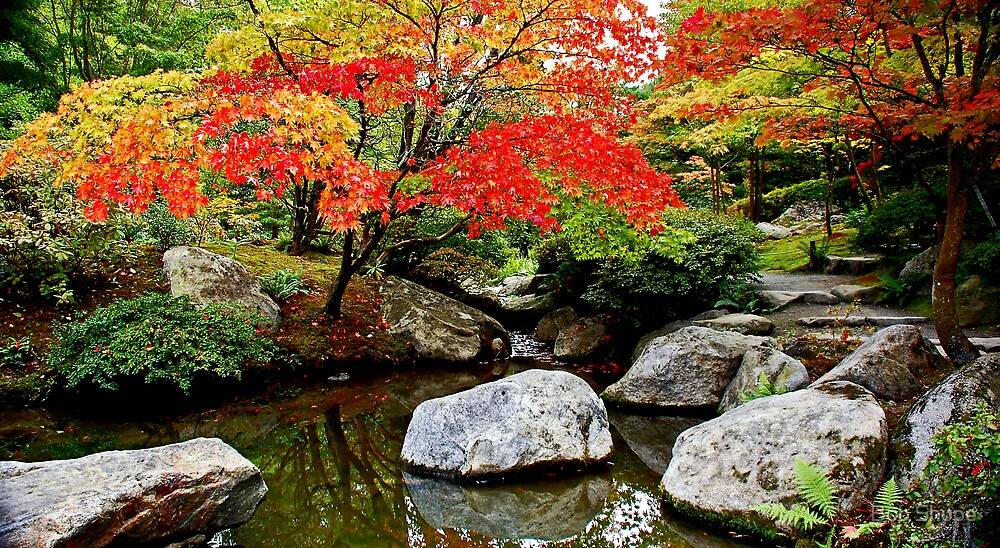 The Complete Guide Japanese Garden