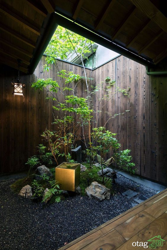 Japanese Indoor Garden