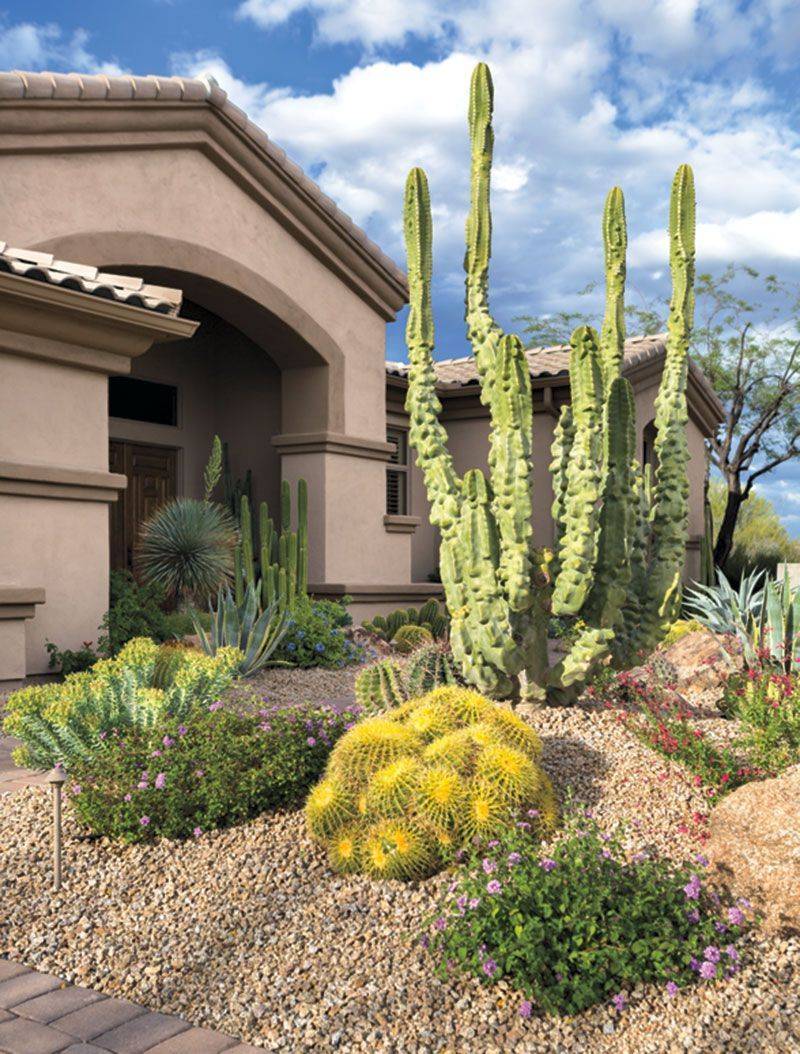 Desert Area Home Design Online