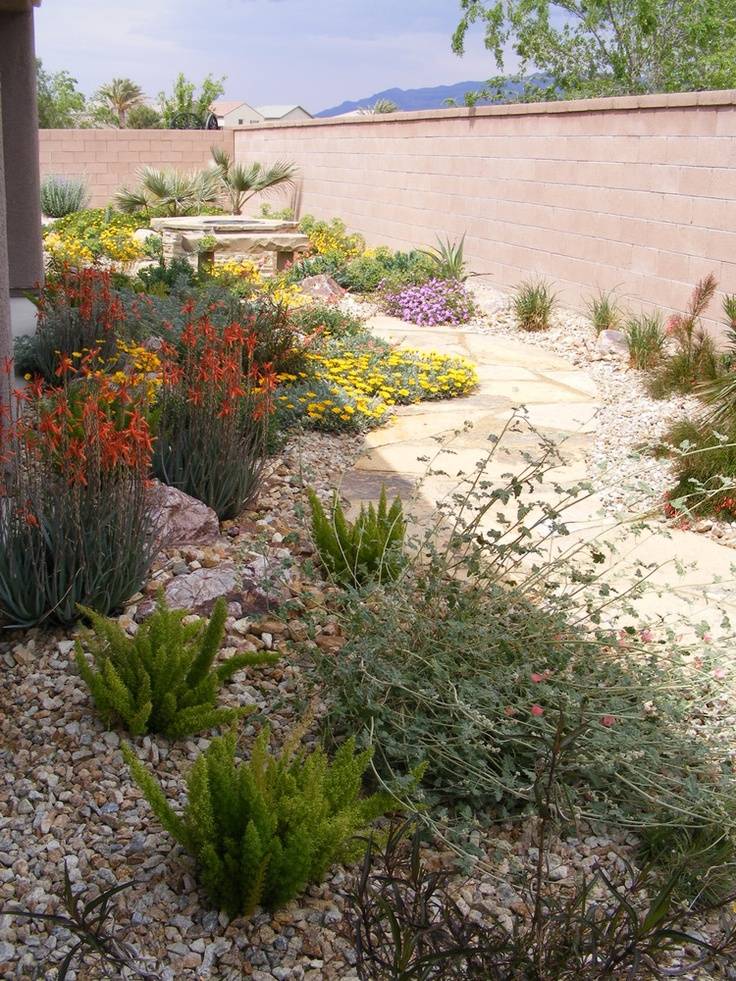 Small Space Gardening In Desert Area Interior Design Ideas Small