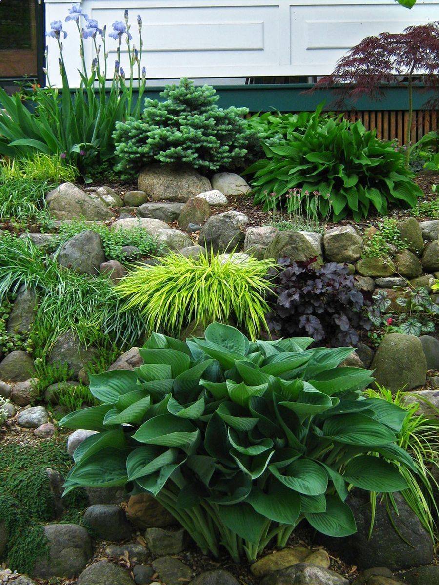 Simple Shade Garden Design Ideas Shade Garden Design Japanese