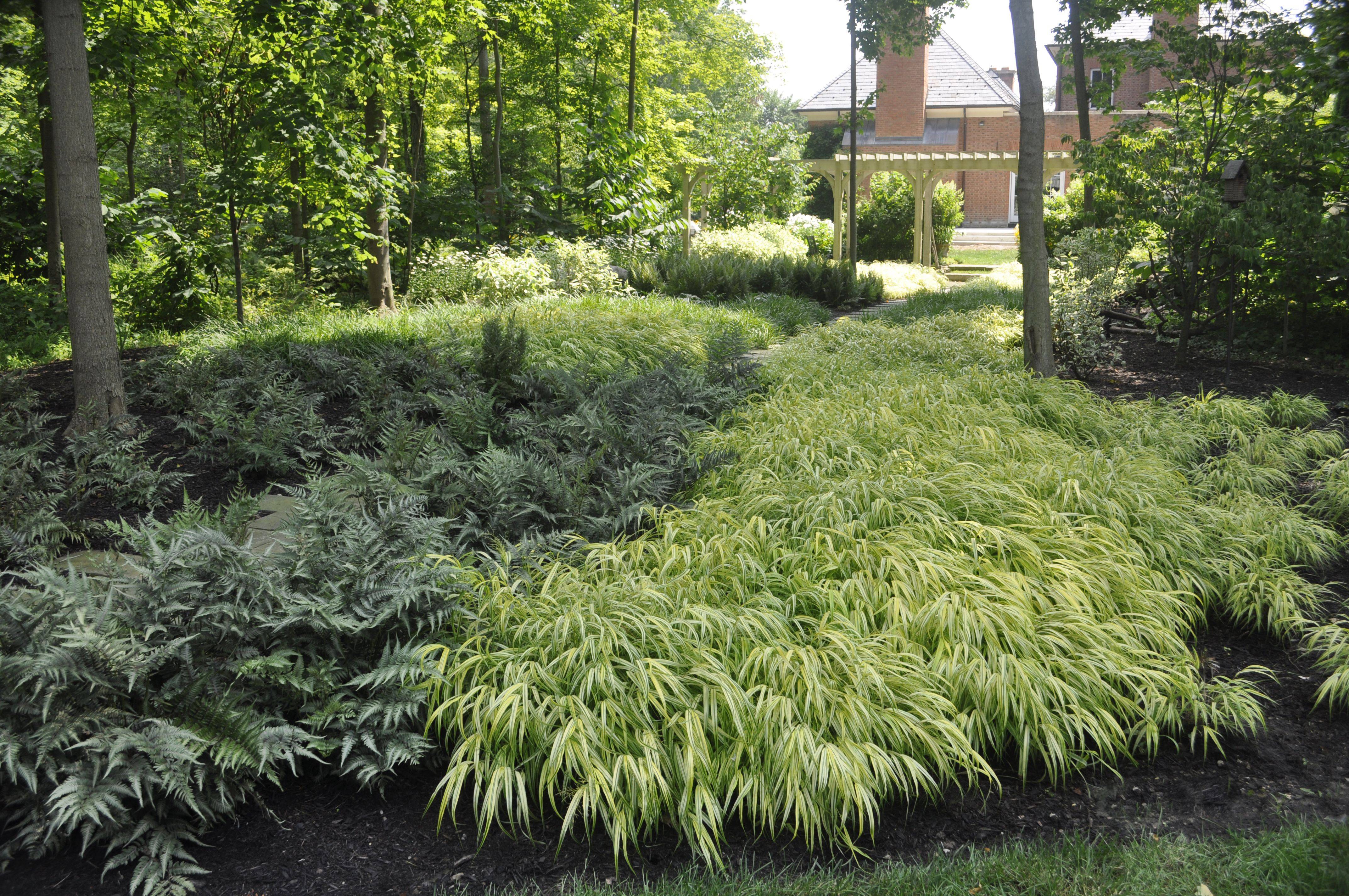 Japanese Garden Plants