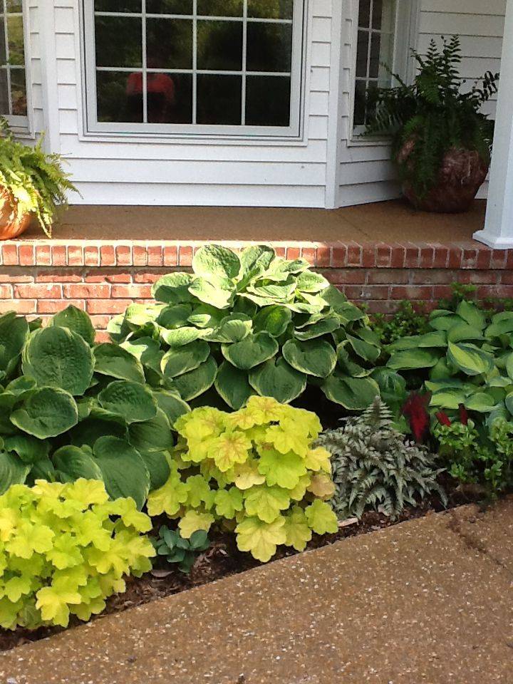 Japanese Shade Garden Plants Ernest Thaker