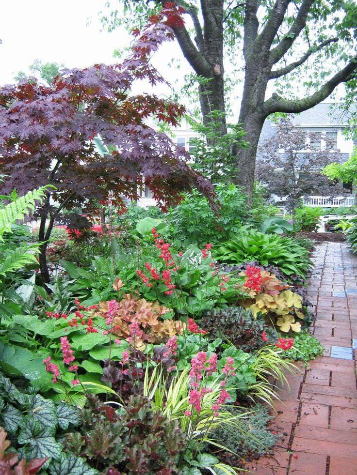 20 Shade Plants Japanese Garden Ideas You Must Look SharonSable