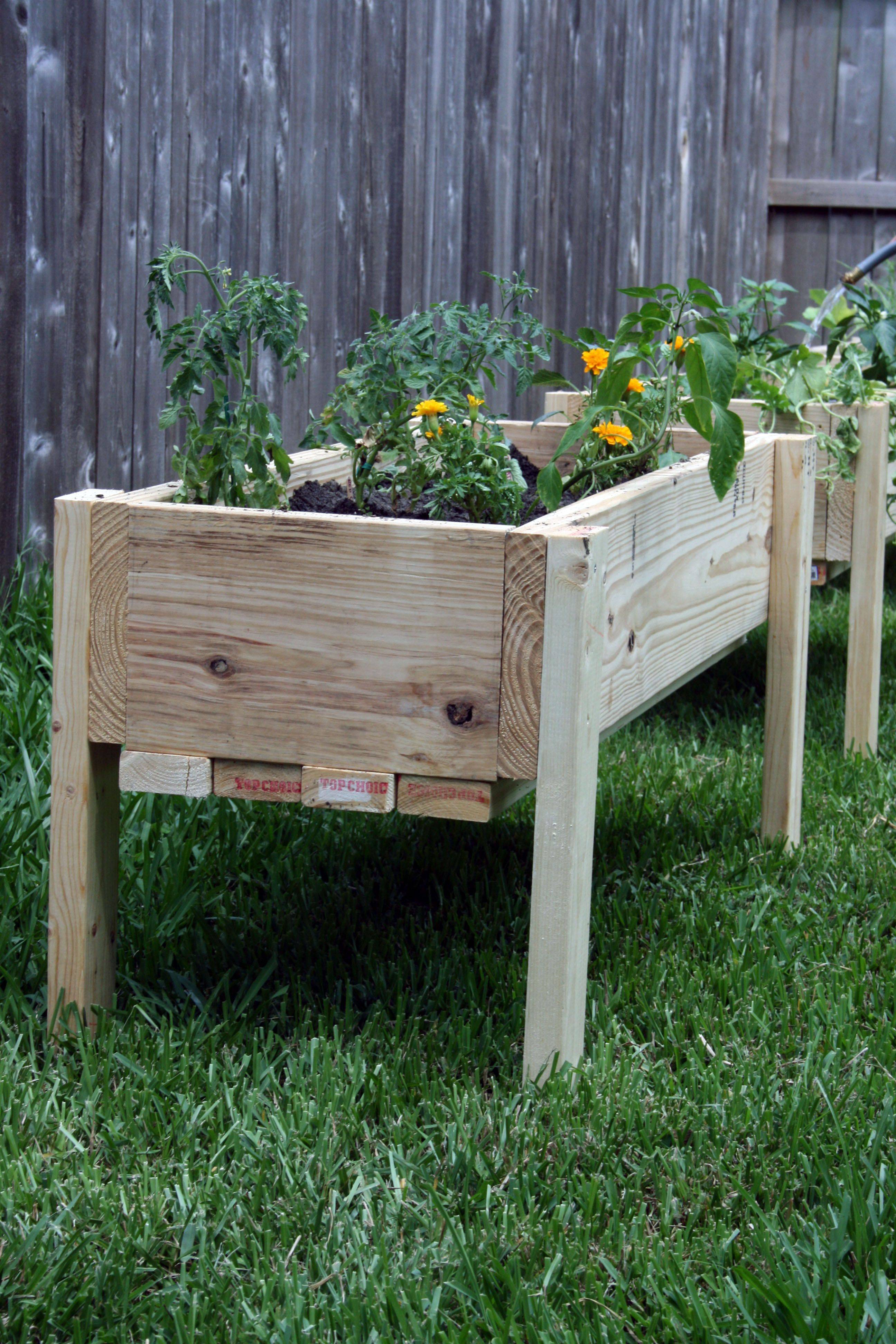 Raised Wooden Garden Bed Designs