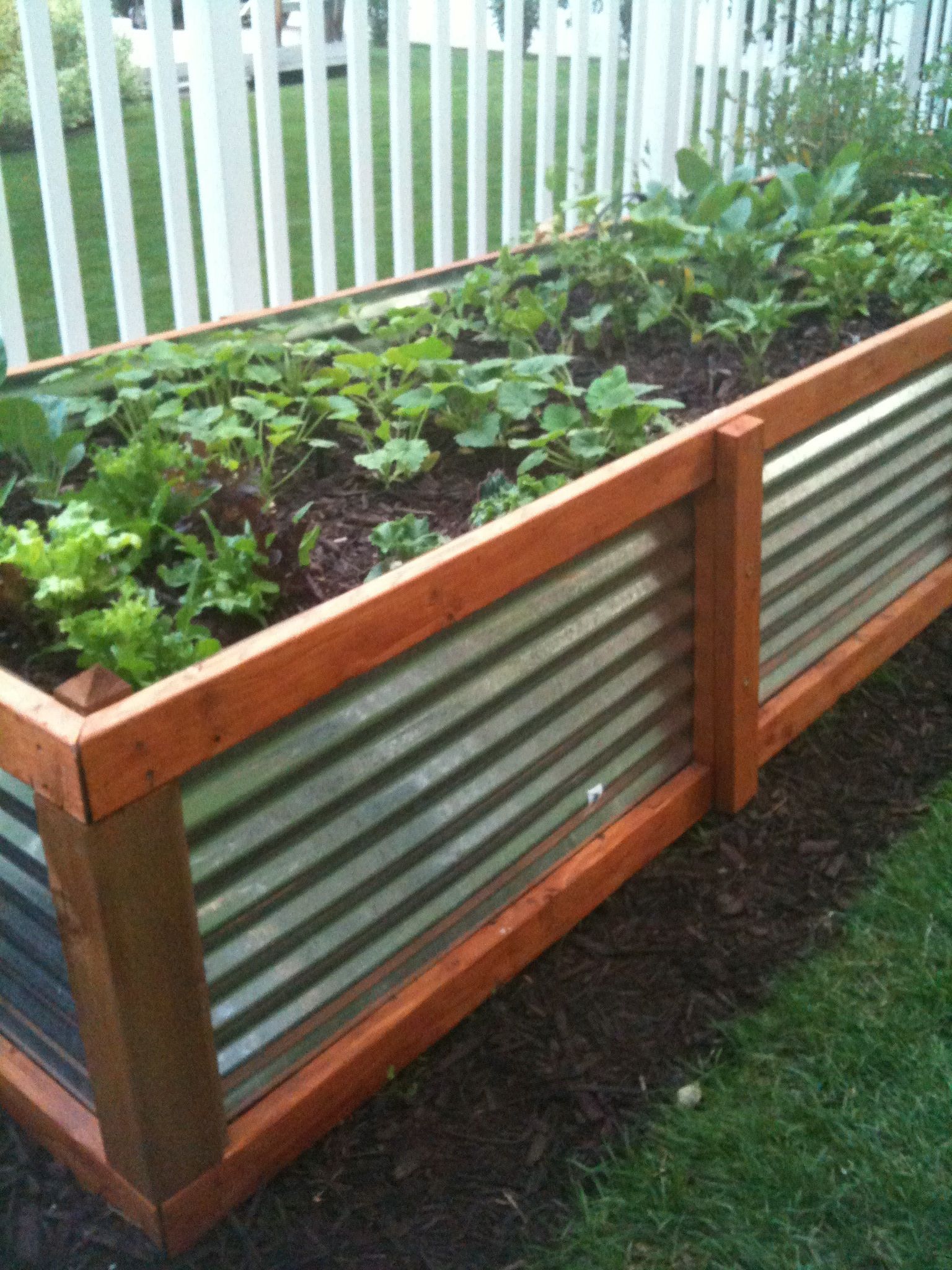 This Raised Bed