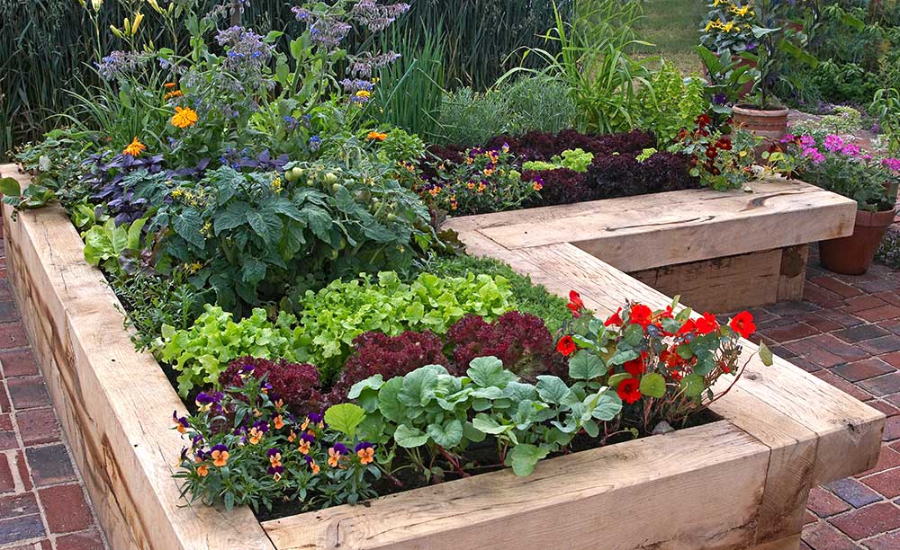 A Raised Garden Bed