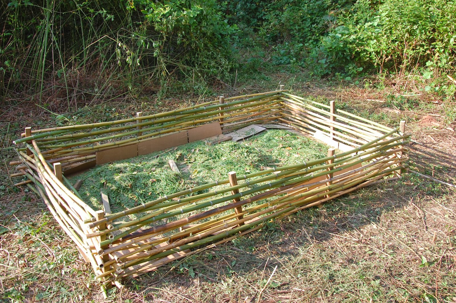 My Bamboo