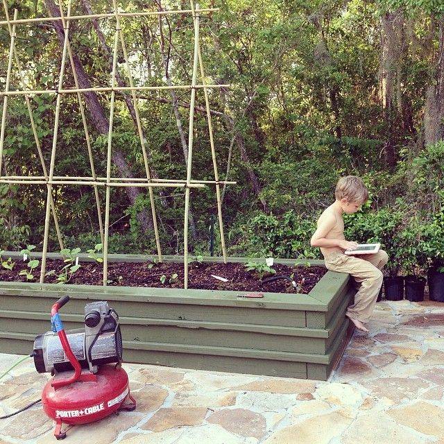 22 Bamboo Garden Bed Ideas For This Year SharonSable