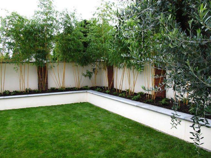 Spring Bamboo Flower Stone Steping