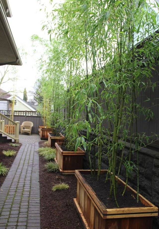 Owen Chubb Garden Landscapers