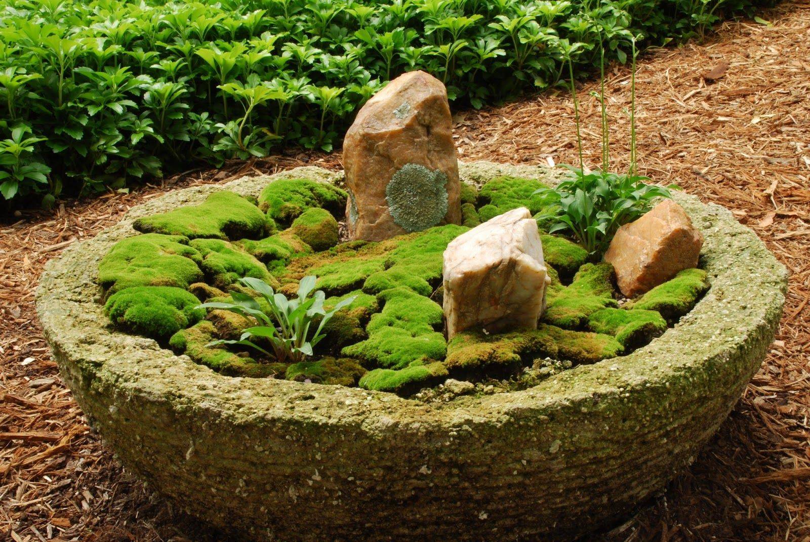 Terrarium Scene