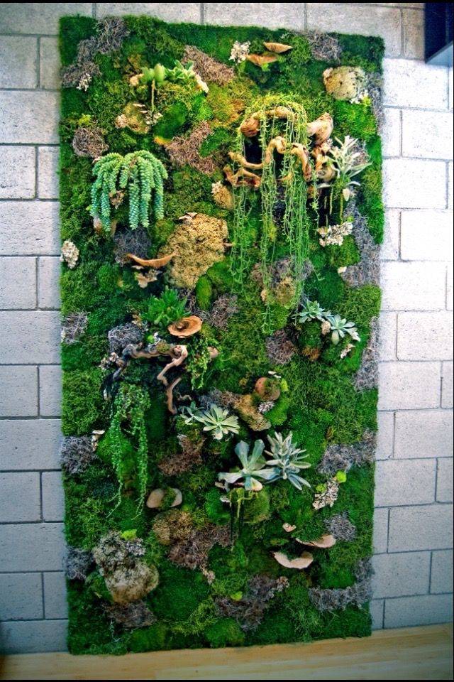 21 Indoor Moss Garden Ideas You Cannot Miss SharonSable