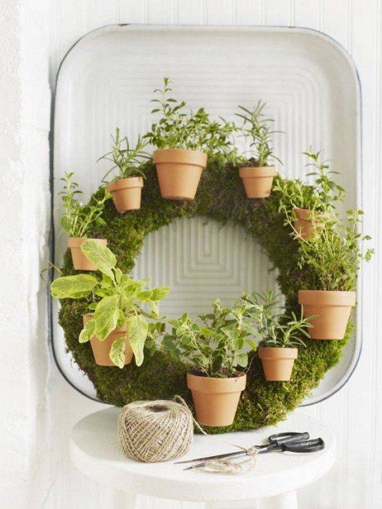 A Moss Dish Garden Dish Garden