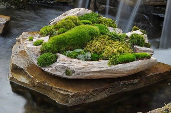 Indoor Moss Garden Mini Garden