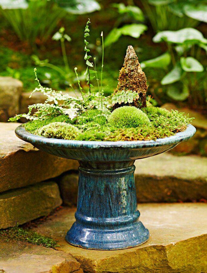 21 Indoor Moss Garden Ideas You Cannot Miss | SharonSable