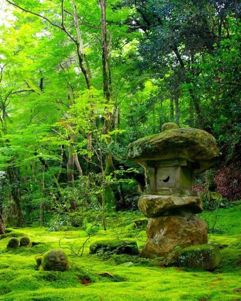 Japanese Garden