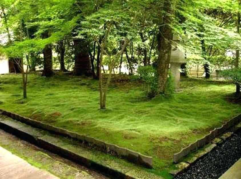 Japanese Garden
