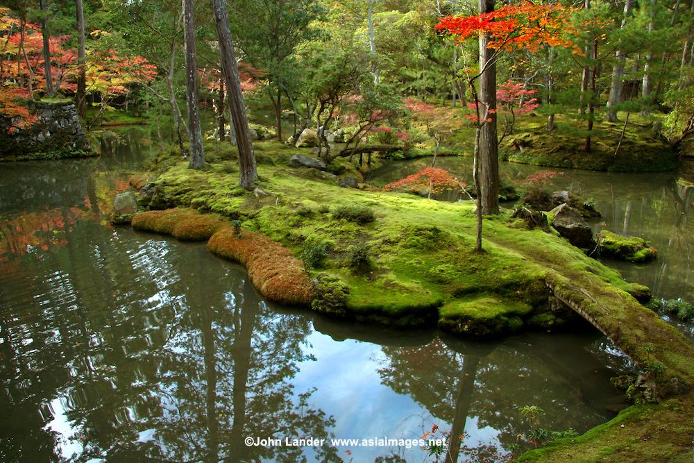Moss Garden Saiho Ji Kyoto Japan Alma
