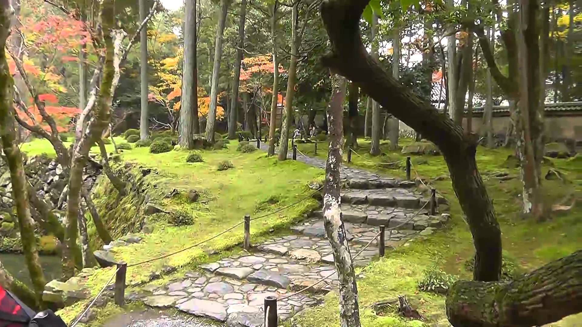 Moss Garden Saiho Ji Kyoto Japan Alma